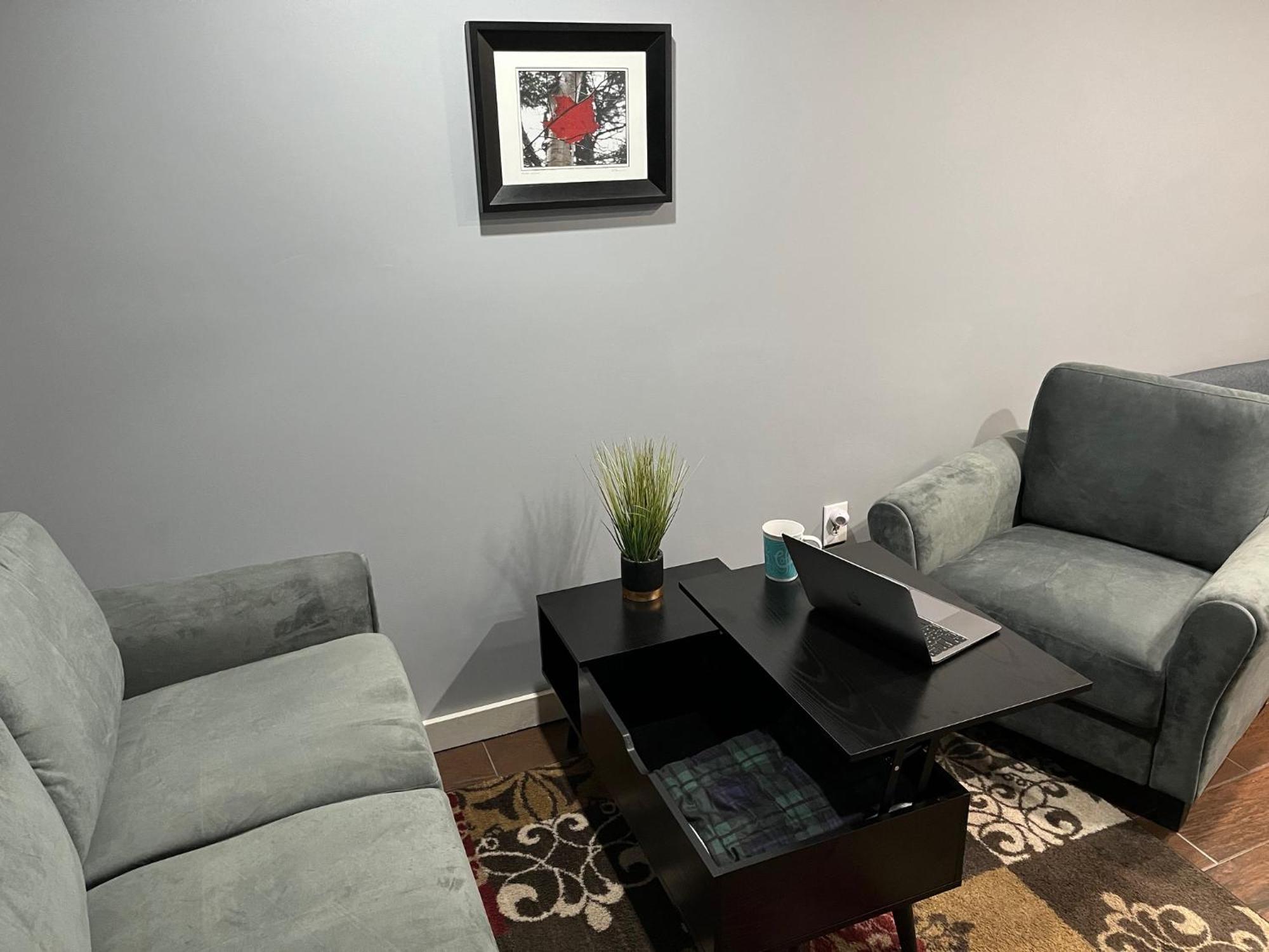 Plush Garden Level Apartment Near Stowe Morristown ภายนอก รูปภาพ